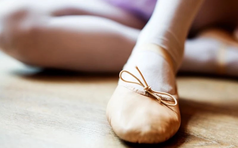 Web agency for Studio Danza Shana